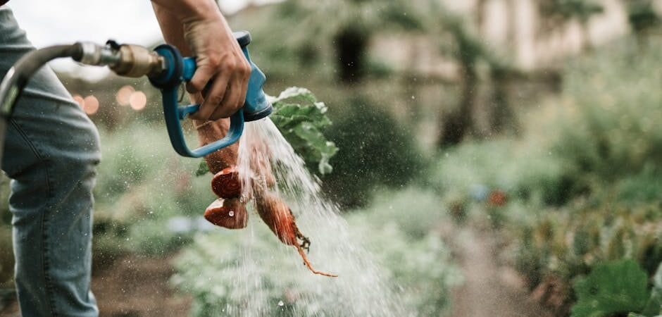 Water Conservation: Drip Irrigation & Rainwater Harvestin… – Agricultural Guide